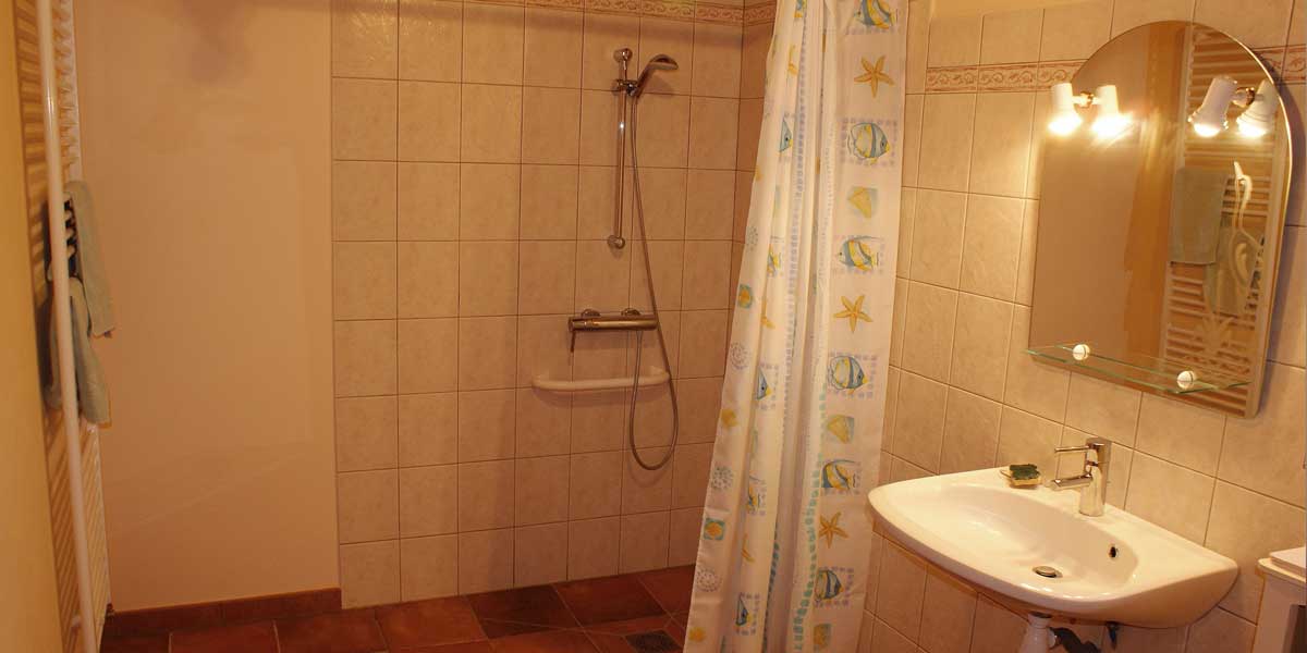 Adapted bathroom with walk-in shower