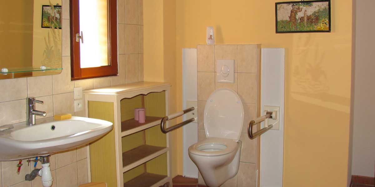 Accessible washbasin and toilet